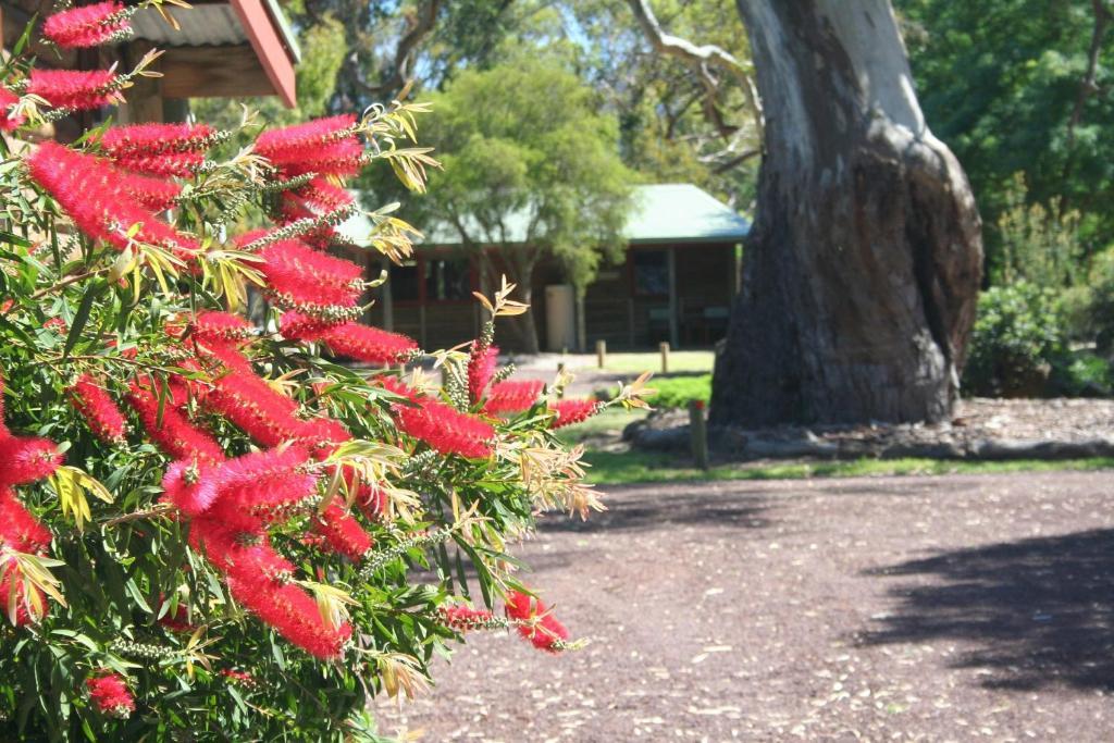 Southern Grampians Cottages Dunkeld Exterior foto